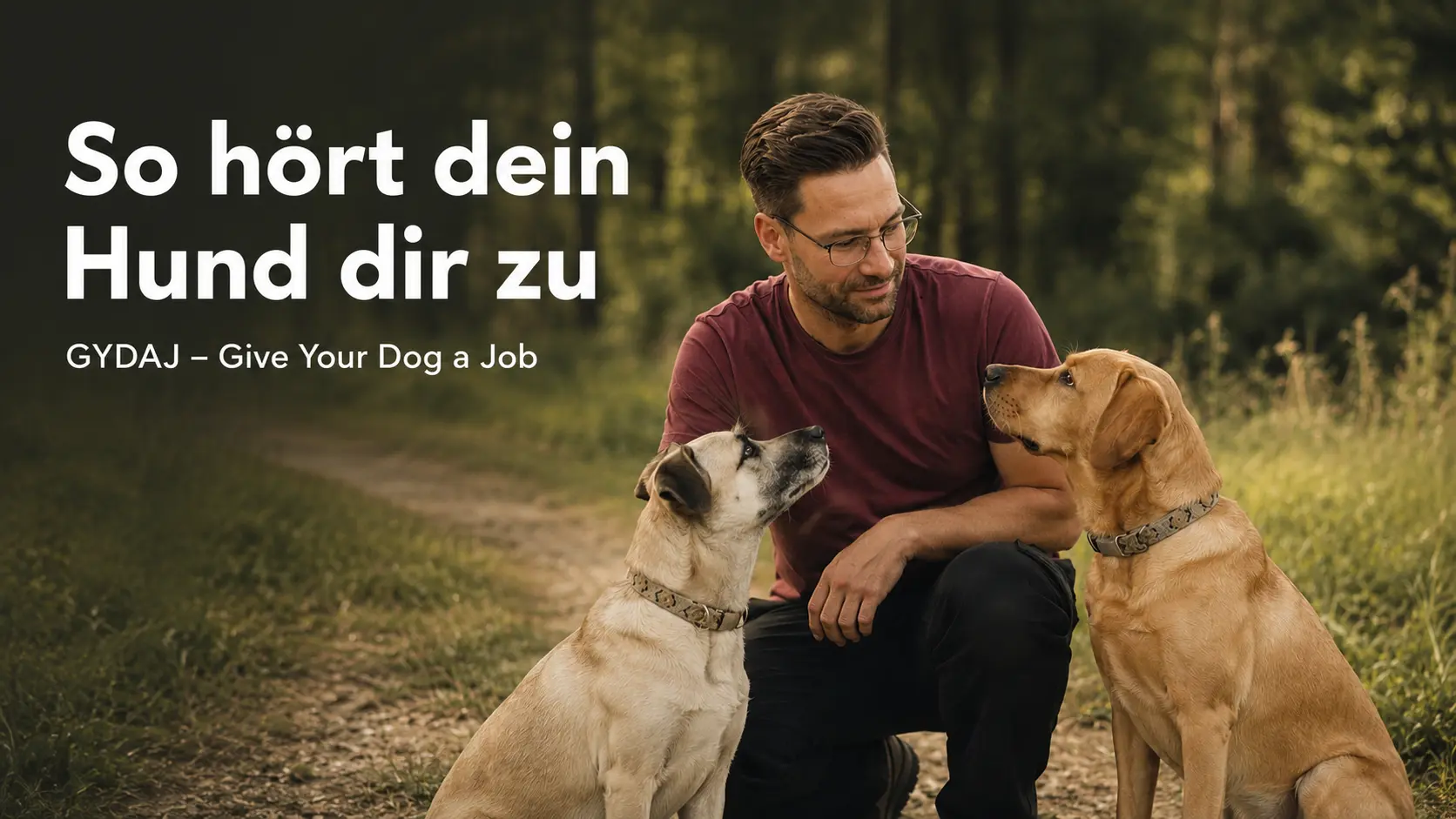 So hört dir dein Hund zu